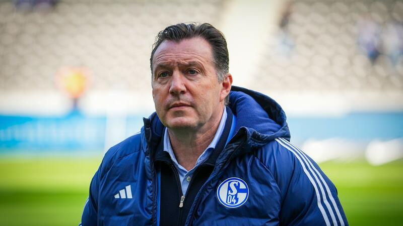 Schalke-Sportdirektor Marc Wilmots.