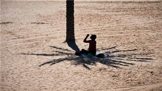 Schattenspiel: Ein Mann nutzt den Schatten einer Palme, während er an einem heißen Tag am Strand von Barcelona Wasser trinkt.