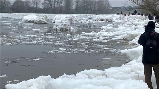 Schaulustige gucken sich die Eisschollen auf der Elbe an. 