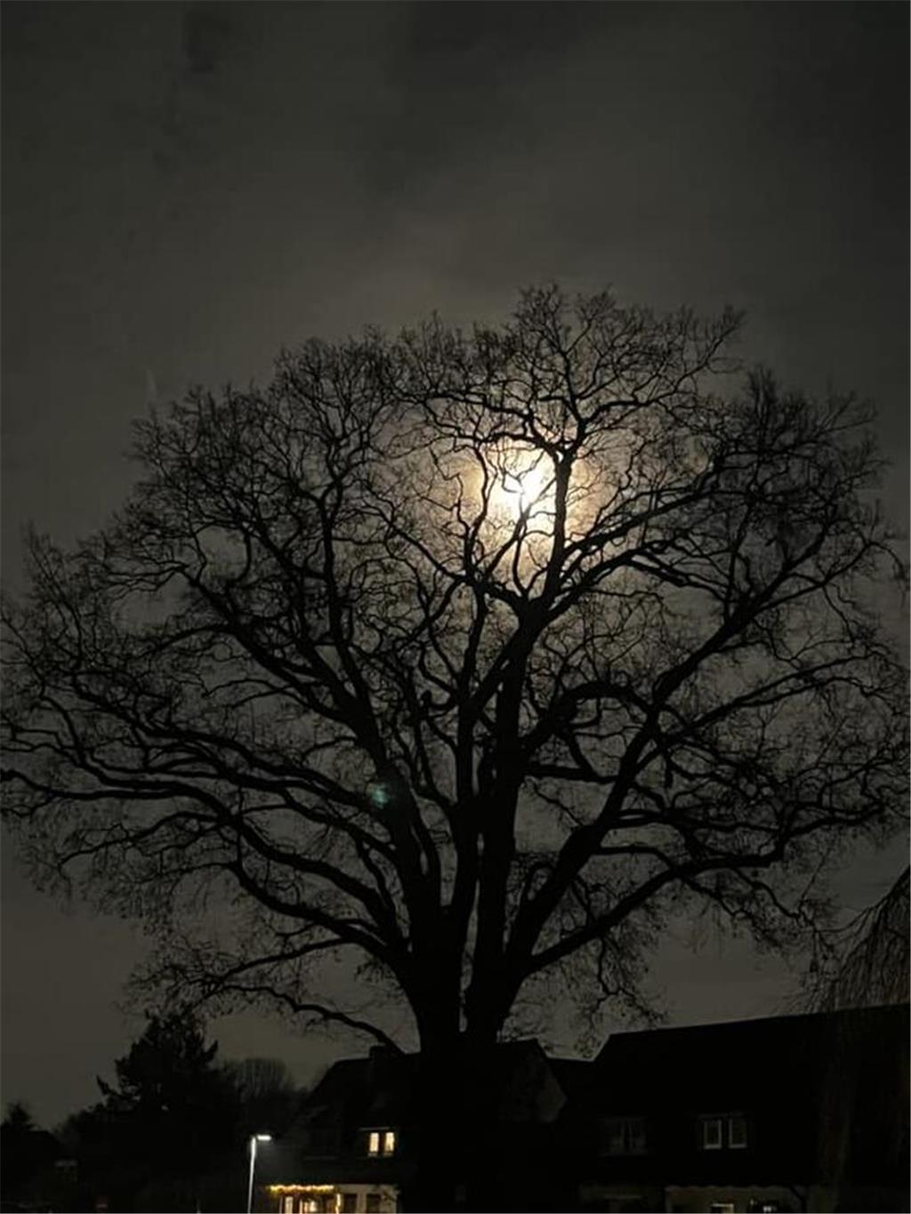 Schaurig-schön ist dieser Schnappschuss von Iris Uthemann.