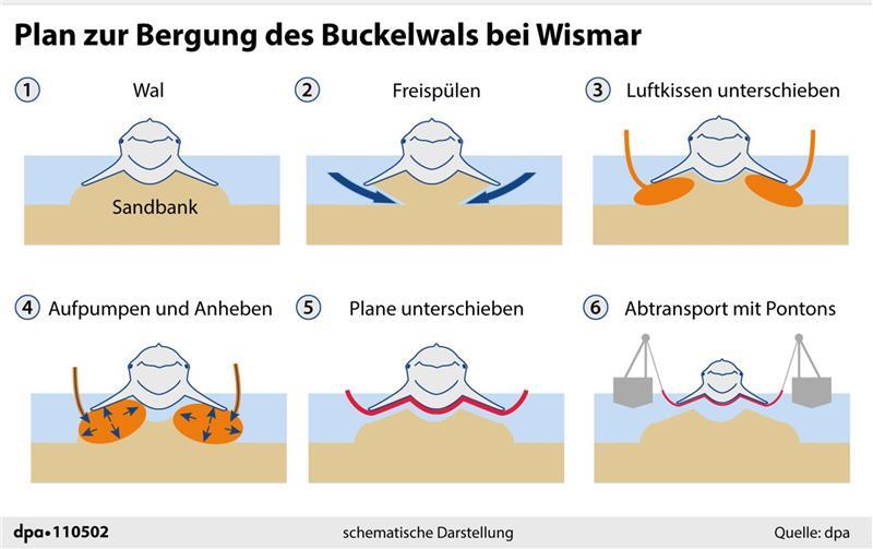 Schematische Darstellung des Bergungsversuchs. Grafik/Redaktion: A. Brühl