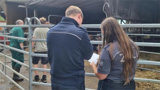 Schiffe, Lkw, Pakete - all das wird im Zollamt in Stade abgefertigt. Die Beamten übeprüfen, ob mit den Exportwaren alles seine Richtigkeit hat.