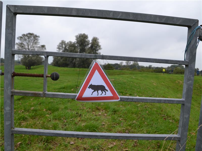 Deichanwohner an der Oste protestieren gegen die Wolfspolitik Schilder auf dem Deich warnen vor dem Wolf.