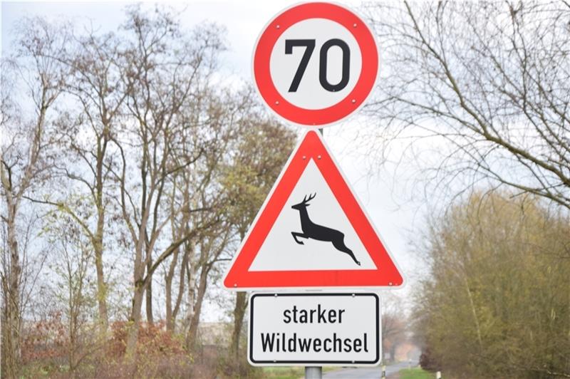 Schilder weisen am Hagener Weg auf Wildwechsel und Tempo 70 hin. Bald heißt es hier Tempo 50. Foto: Battmer (Archiv)