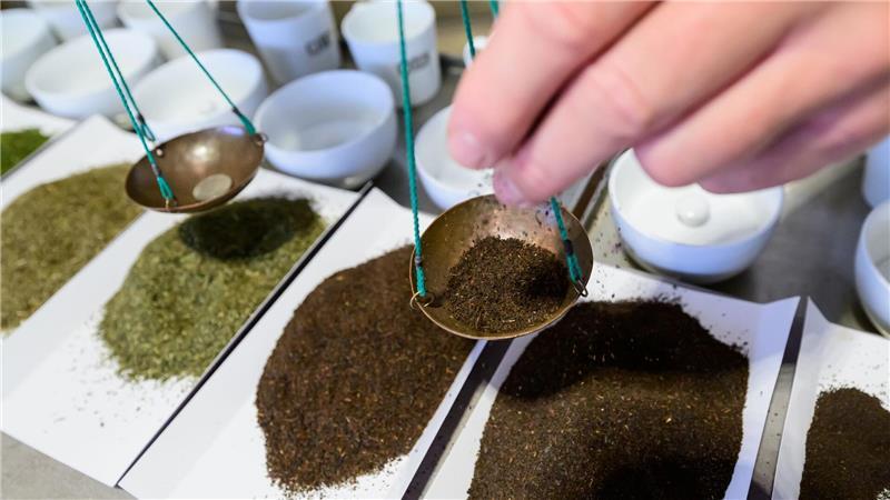 Geheimnis des Schlürfens: Warum dieses Team täglich 300 Tees probiert Schmeckt eine Probe nach Schimmel oder Rauch, wird sie sofort aussortiert.