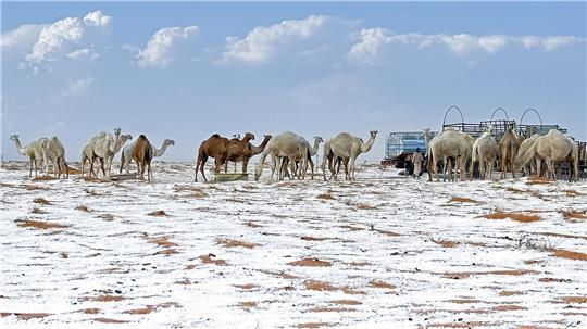 Schnee in Saudi-Arabien? Muss Bremerhaven in Kürze mit dem Wintereinbruch rechnen? Foto: STR