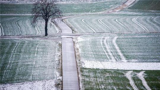 Schnee liegt am Morgen auf den Feldern in Oberschwaben