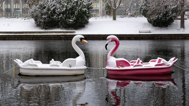Warnung vor Unwetter: Schnee und Eis erwartet Schneebedeckt: Zwei Tretboote in Form eines Schwans und eines Flamingos auf der Havel in Potsdam.