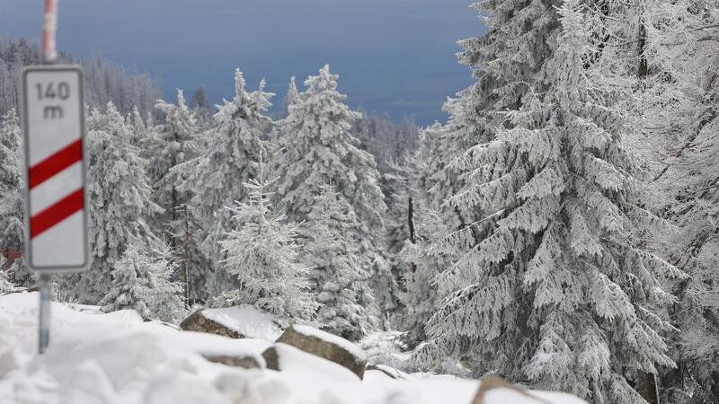 Schneebedeckt sind die Fichten auf dem Brocken. Eine Kaltwetterfront brachte in den höheren Lagen viel Schnee.
