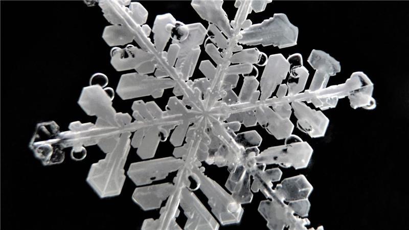 Bremerhavener verewigen Schneeflocken aus Antarktis und Arktis Schneeflocken haben sehr feine Strukturen.