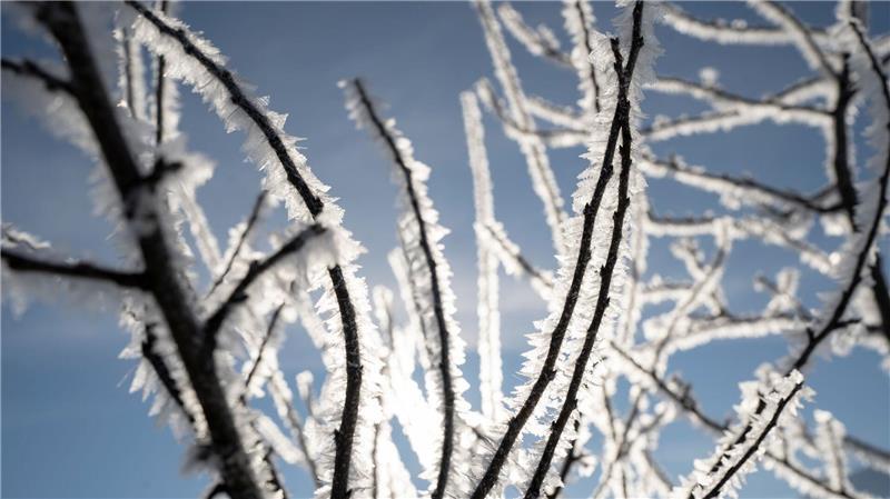 Schneekristalle gibt es in vielen Variationen von sechseckigen Platten und Zylindern oder Sternchen.