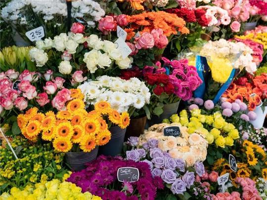 Schnittblumen in einem Blumenladen. Der Blumenstrauß zum Valentinstag wird in diesem Jahr deutlich teurer. Foto: Ole Spata/dpa