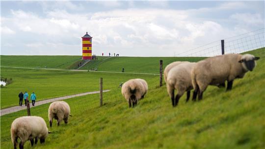 Schöne Deiche hat Niedersachsen zu bieten – aber was ist mit der Wirtschaft, fragt die CDU? (Symbolbild)