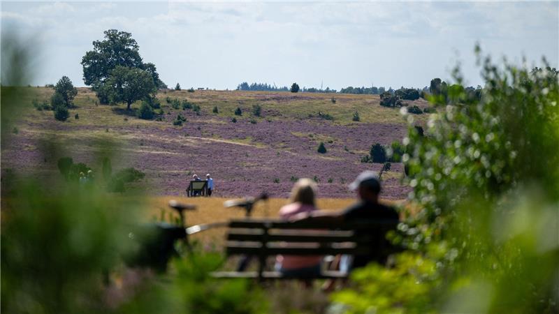 Schöne Landschaften wie die Lüneburger Heide prägen Niedersachsens Wahrnehmung – wirtschaftlich sieht das Bild dagegen durchwachsen aus. (Archivbild)