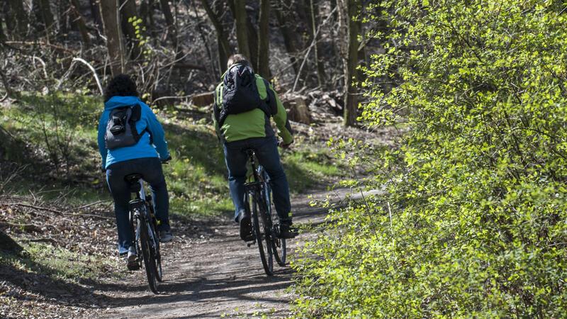 Schon das Bundeswaldgesetz vom 2. Mai 1975 sieht aber vor, dass Radfahren „nur auf Straßen und Wegen gestattet“ ist.