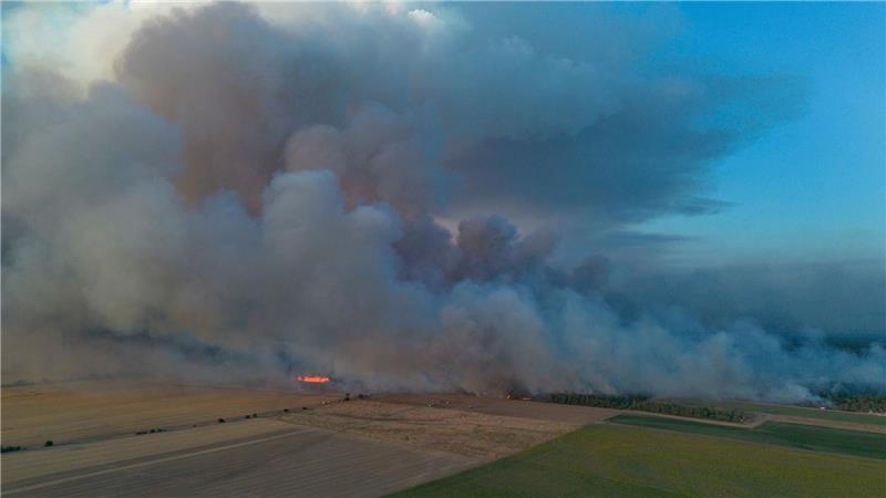 Mehrere Waldbrände halten Feuerwehren im Osten in Atem Schon früher gab es hier große Brände: die Gohrischheide zwischen Sachsen und Brandenburg.