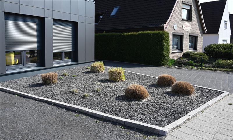 Schottergärten gelten als pflegeleicht. Doch sie tragen zur Verringerung des Lebensraumes vieler Tiere bei. Foto: Carmen Jaspersen/dpa/dpa-tmn