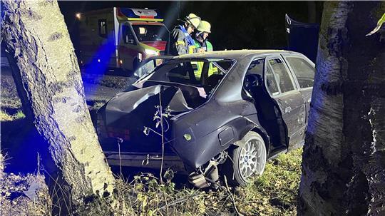 Schrott: Der vollbesetzte BMW prallte auf der B73 zwischen Dollern und Agathenburg mit dem Heck auf einen Baum.