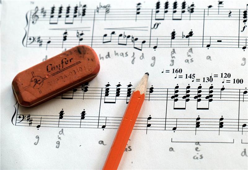 Schüler aus fünf Grundschulen wollen die Zuhörer beim Chorfest der Stader Grundschulen mit ihrer Musik begeistern. Foto: wal_172619 / Pixabay