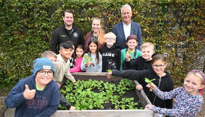 Apfelkisten-Projekt: Mit dem Gärtnern für das Leben lernen Schüler der Grundschule Guderhandviertel ernten Radieschen aus ihrer Gemüse-, Kräuter und Obst-Pflanzkiste auf dem Schulhof.