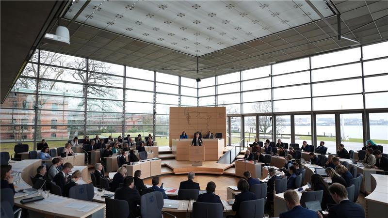 Schwangerschaftsabbrüche in der Region Flensburg erhitzen die Gemüter im Landtag.