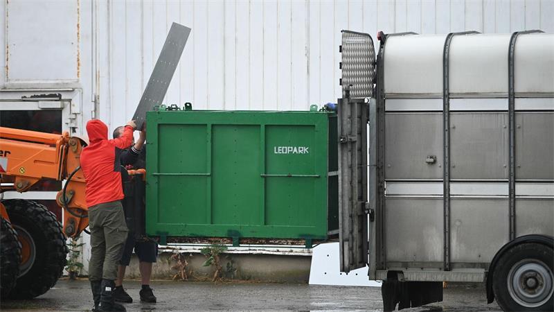 Pfleger stirbt nach Tigerangriff nahe Leipzig – Ermittlungen Sechs Tiger aus der privaten Anlage bei Leipzig wurden inzwischen nach Spanien gebracht. (Archivbild)