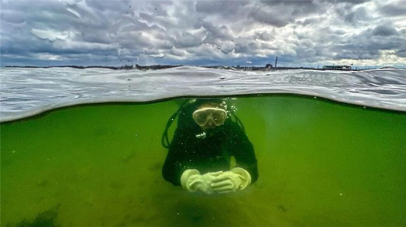 Millionen aus Berlin für Klimaschutz in Nord- und Ostsee Seegraswiesen sind Teil der vom Bundesumweltministerium geförderten Projekte .