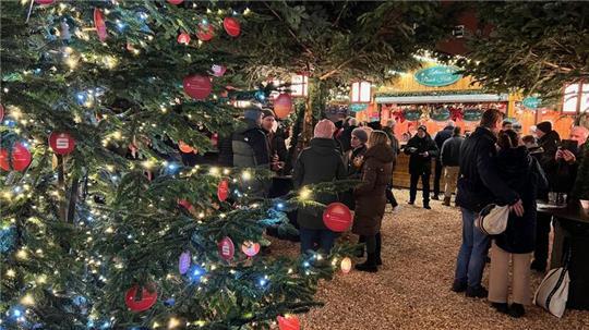 Sehr gemütlich: der Weihnachtswald auf dem Petri-Platz in Buxtehude.