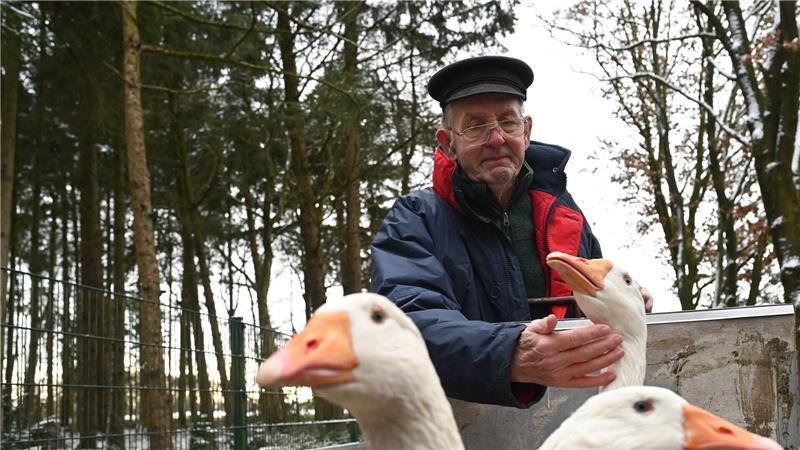 „Ich kann es nicht mehr“ – Ludwig sagt seinen Gänsen Lebwohl Seine drei Gänse Paul, Pauline und Wilma will Ludwig Smidt regelmäßig im Tierpark besuchen.