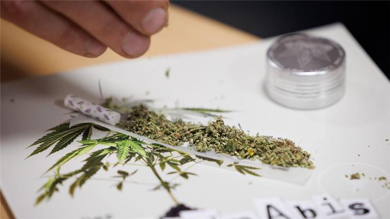 Seit 1. Juli können Erwachsene in nicht-kommerziellen „Anbauvereinigungen“ Cannabis gemeinsam anbauen und untereinander zum Eigenkonsum abgeben. Zuvor müssen sie allerdings eine Erlaubnis beantragen.