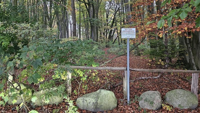 Seit 2017 ist der Dohrenwald aus Sicherheitsgründen gesperrt und damit auch kein Zugang zu den bedeutenden Steingräbern möglich.