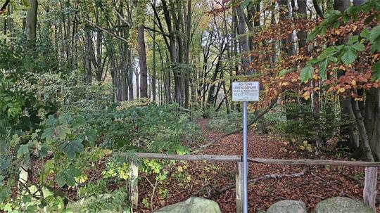 Seit 2017 ist der Dohrenwald aus Sicherheitsgründen gesperrt und damit auch kein Zugang zu den bedeutenden Steingräbern möglich.