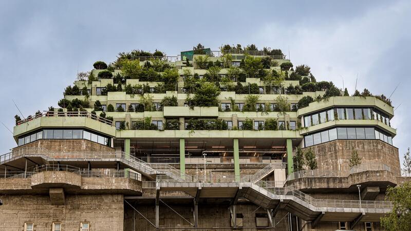 Eröffnung des grünen Bunkers auf St. Pauli mit Gästen Seit 2019 wurden auf dem ehemaligen Flakbunker 23.000 Bäume, Gehölze und Stauden gepflanzt.