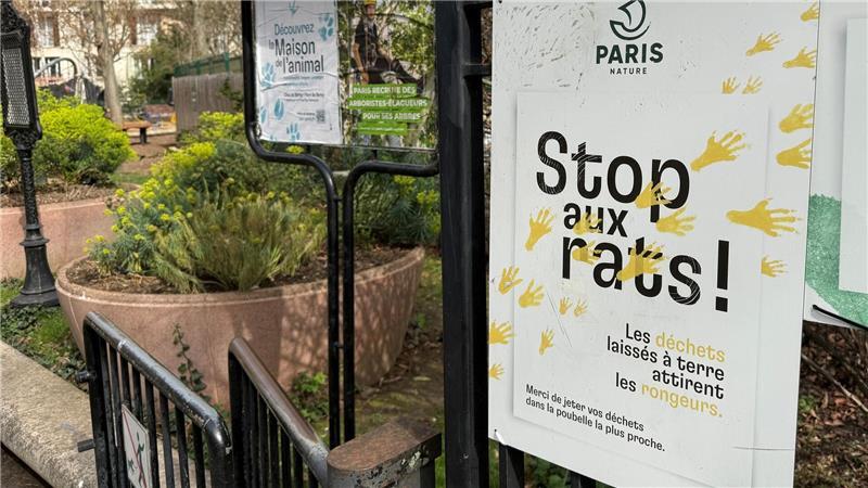 Seit Jahren kämpft die Stadt Paris gegen die Rattenplage.