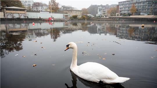 Seit März 2020 hat der Landesbetrieb Straßen, Brücken und Gewässer (LSBG) im Auftrag der Behörde für Verkehr und Mobilitätswende (BVM) den gesamten Bereich rund um die Hohenfelder Bucht saniert.