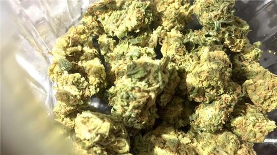 Seit Monaten laufen CDU und CSU gegen die Ampel-Pläne zur Entkriminalisierung von Cannabis Sturm.