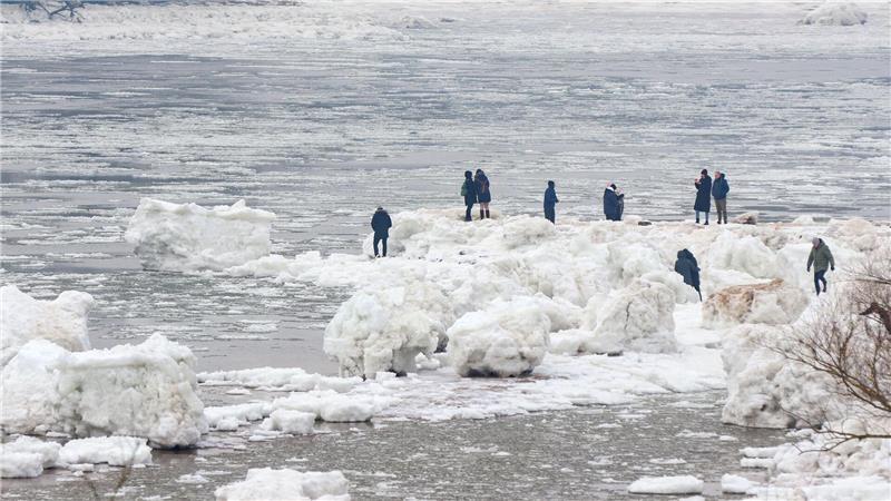 Seit Tagen ziehen die Eisberge bei Geesthacht zahlreiche Besucher an.