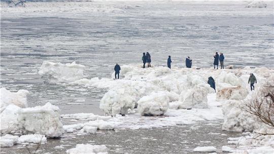 Seit Tagen ziehen die Eisberge bei Geesthacht zahlreiche Besucher an.