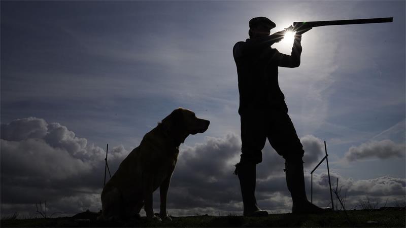 Seit der Novelle des niedersächsischen Jagdgesetzes dürfen Jagdhunde nicht mehr bei der Naturbaujagd eingesetzt werden.