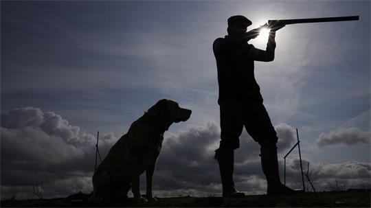 Seit der Novelle des niedersächsischen Jagdgesetzes dürfen Jagdhunde nicht mehr bei der Naturbaujagd eingesetzt werden.