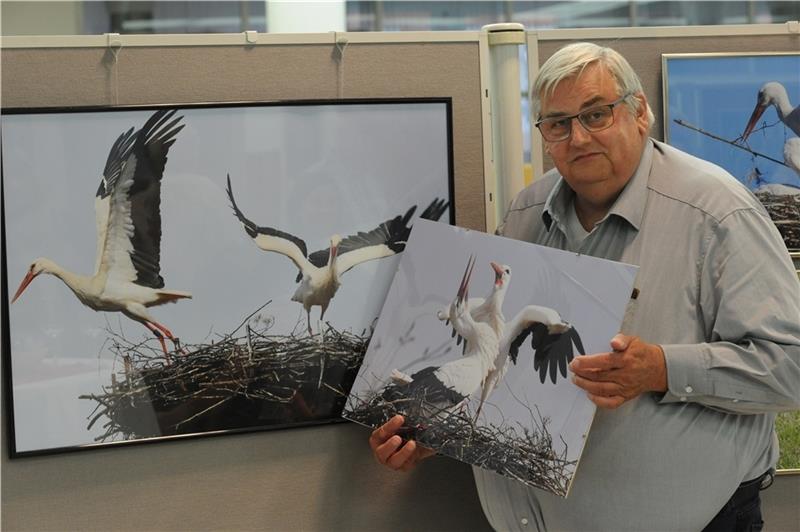 Seit fast 50 Jahren fotografiert der Fredenbecker Hans-Lothar Kordländer Störche. Fotos: Berlin