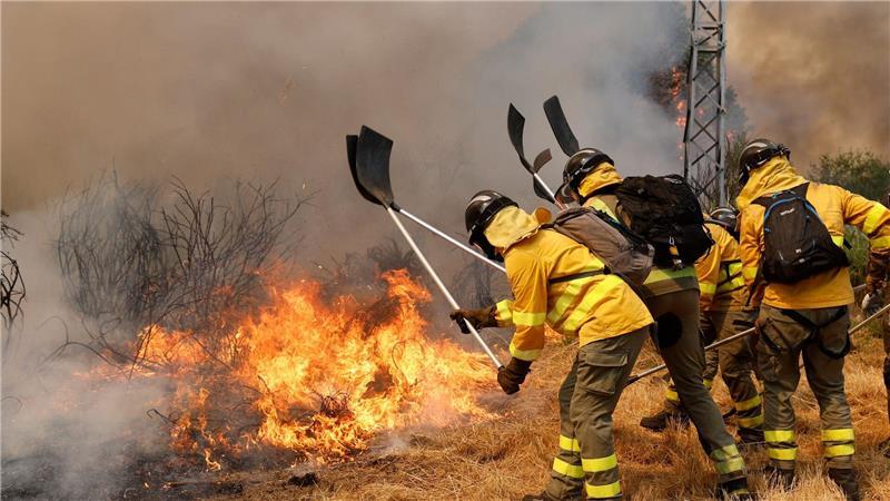 Seit fast zwei Wochen hält eine Waldbrand-Serie die Einsatzkräfte auf Trab.