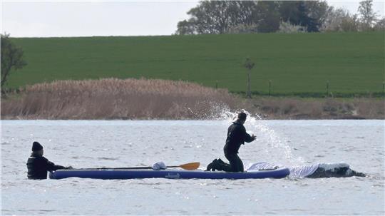 Seit mehr als einem Monat hängt der Wal fest. Gelingt nun ein neuer Rettungsversuch?