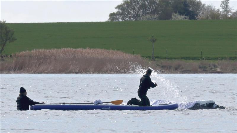 Seit mehr als einem Monat hängt der Wal fest. Gelingt nun ein neuer Rettungsversuch?
