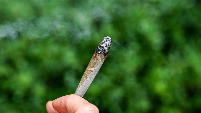 Seit rund zwei Jahren ist Cannabis in Deutschland teilweise legal. 