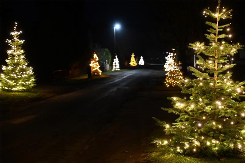 Seit zehn Jahren wird die Lüttchaussee in Sauensiek ab dem ersten Advent zur „Leuchtchaussee“. Wenn das Licht angeknipst wird, kommen alle Anwohner zusammen. Foto: Ahrens