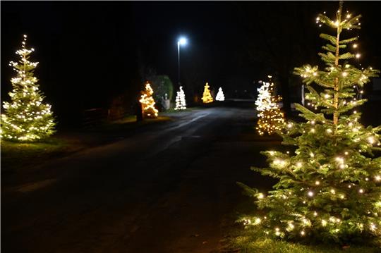 Seit zehn Jahren wird die Lüttchaussee in Sauensiek ab dem ersten Advent zur „Leuchtchaussee“. Wenn das Licht angeknipst wird, kommen alle Anwohner zusammen. Foto: Ahrens