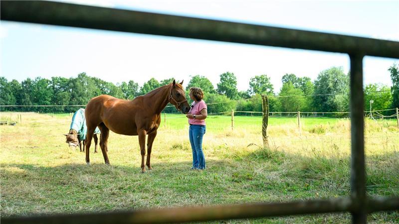 Seitdem sind der Polizei zufolge keine weiteren Köder mehr gefunden worden.