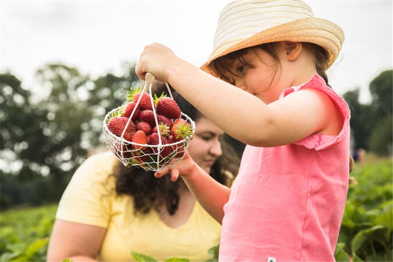 Kinder rein, Schädlinge raus: Garten-Tipps von Judith Rakers Selber ernten macht Kinder und Eltern stolz.