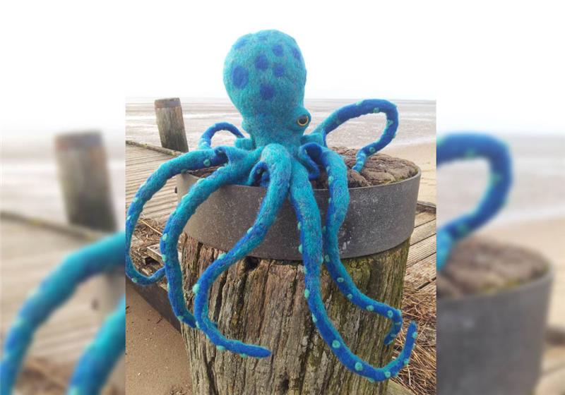 Selbstgemachte Kunstwerke wie diesen gefilzten Oktopus gibt es im Natureum zu bestaunen. Foto: Natureum